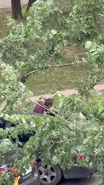 «Мосфильм» никак не унимается