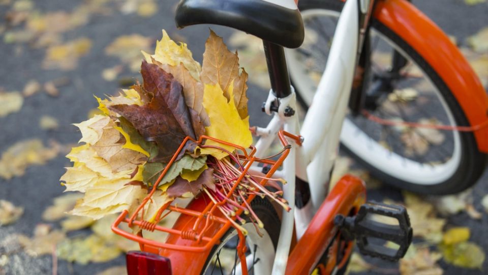 Следили по-хитрому: Завербованным Киевом для теракта помог велосипед