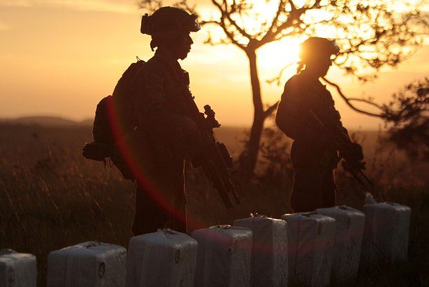 Поддубный: Колумбийцы организовали наркобизнес на Украине