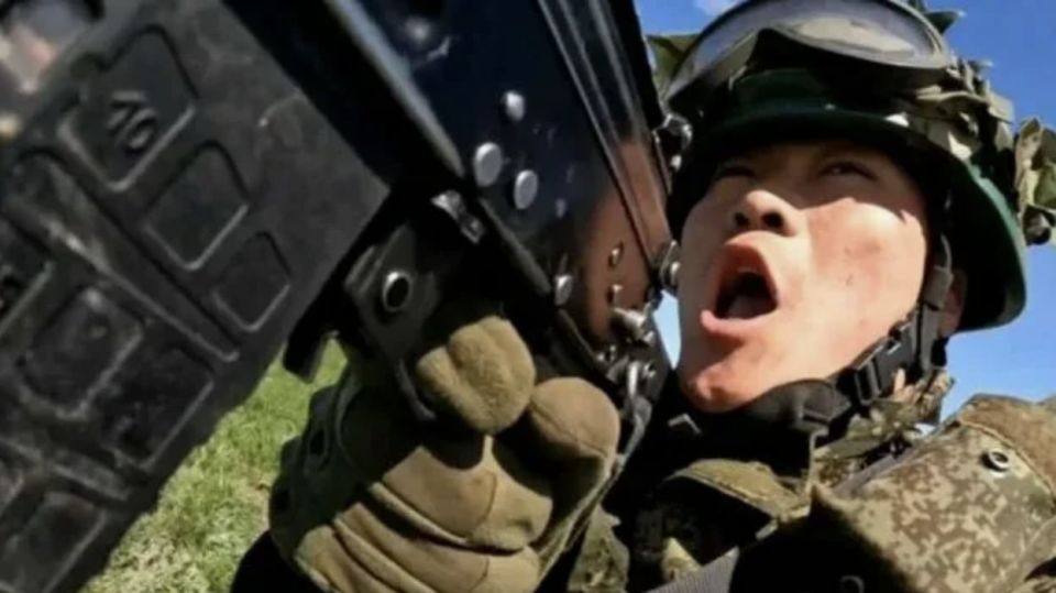 Корейцы сейчас «официально» занимаются охраной и разминированием, но использовать таких бойцов для таких дел – это забивать гвозди микроскопом