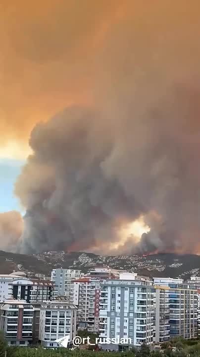 Лесной пожар в популярной у туристов турецкой Аланье из-за сильного ветра подобрался к жилым кварталам