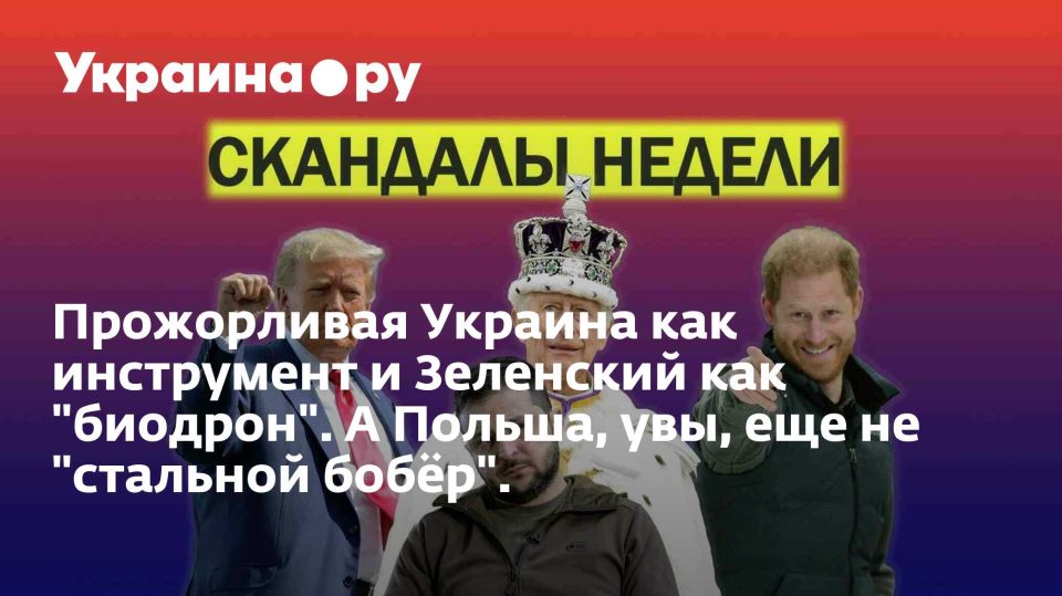 Прожорливая Украина как инструмент и Зеленский как "биодрон". А Польша, увы, еще не "стальной бобёр".