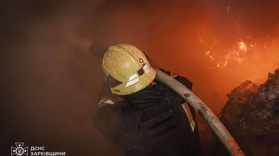 ������������� ����� �� �������: ������� ��������� �� ���� ������