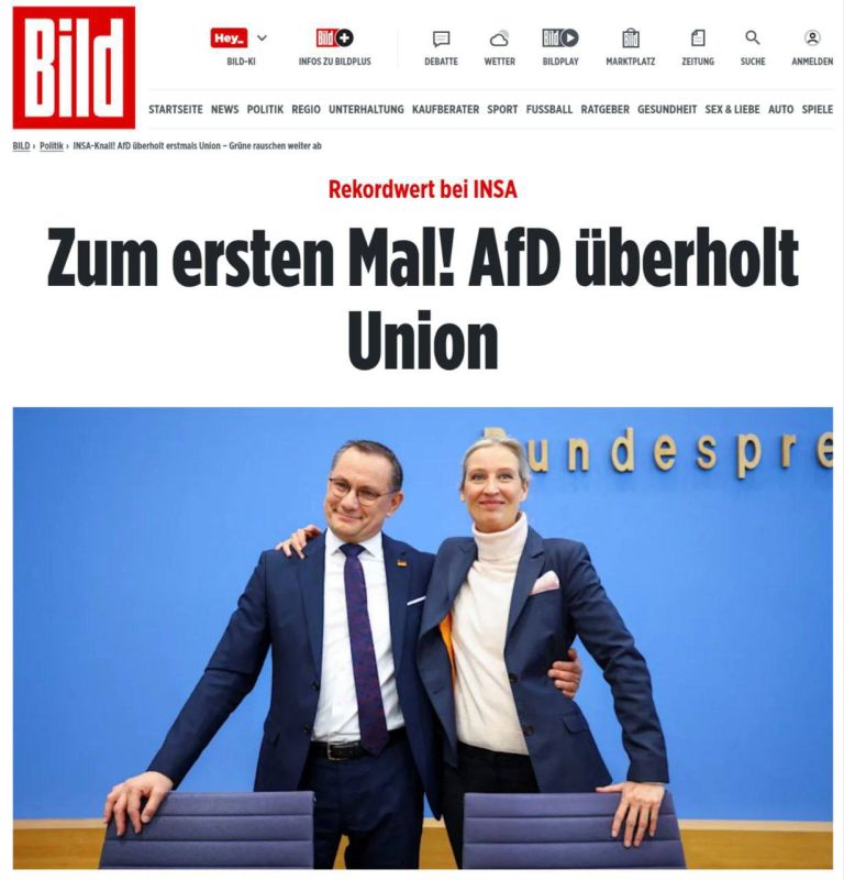 ������� �������: � �������� ������������� AfD ����� �� ������ �����