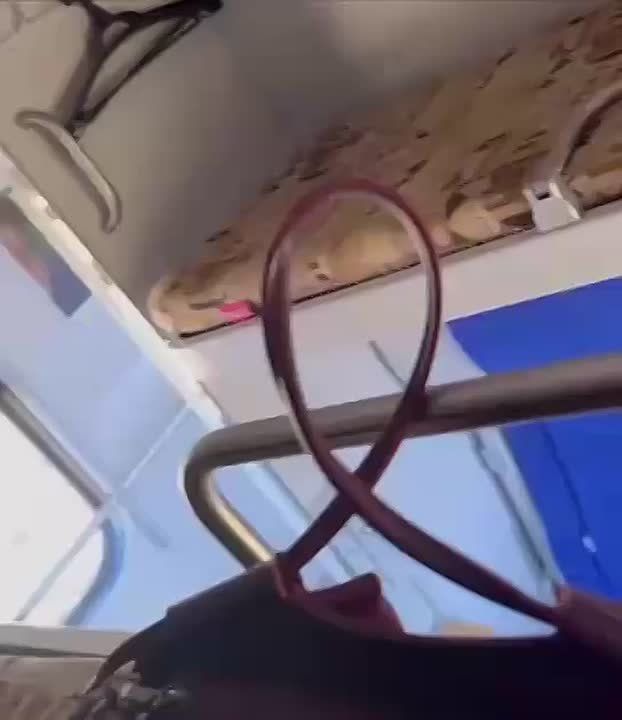 ������ ��������: � ������, ������ �� �����, ������� �������� ������� ���������� - "���� �����?"