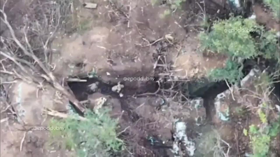 ������� ���������: ����������������� ����� �� ��� �������� �������������� ��������� ��������