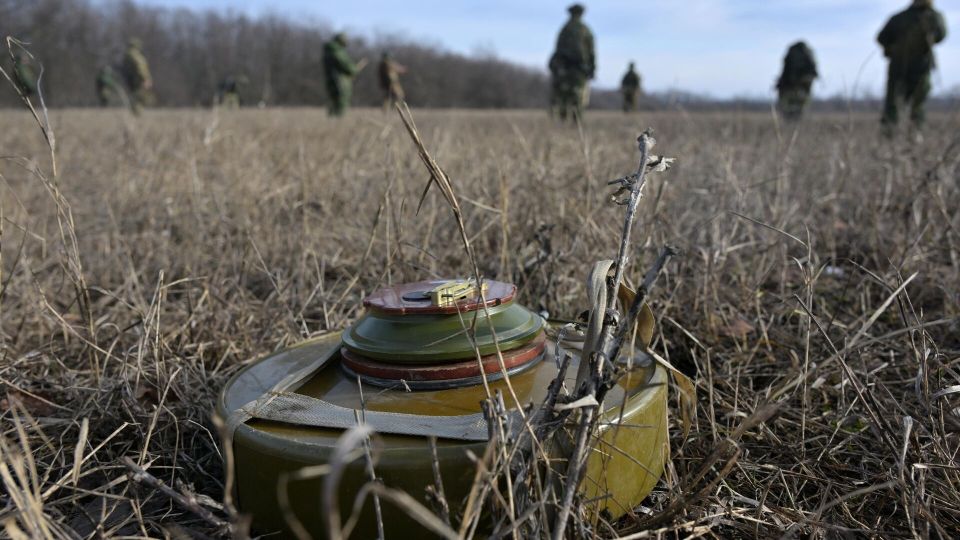 ���� �������� � 51 ��������������� ���� ������ ��� ���������� � ������������� �������. ������� �� 10:00