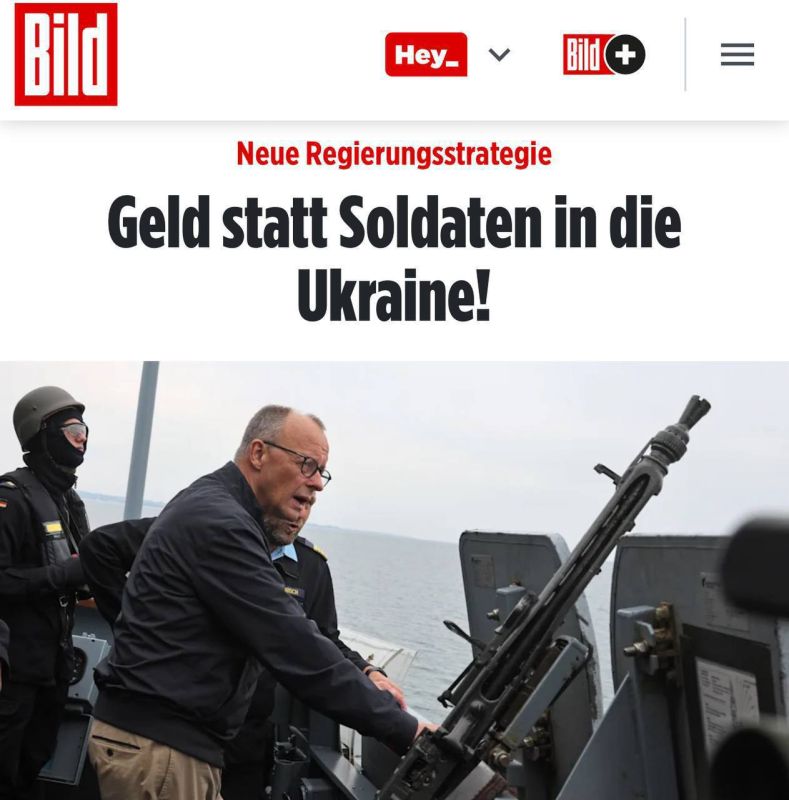  :         ,     - Bild