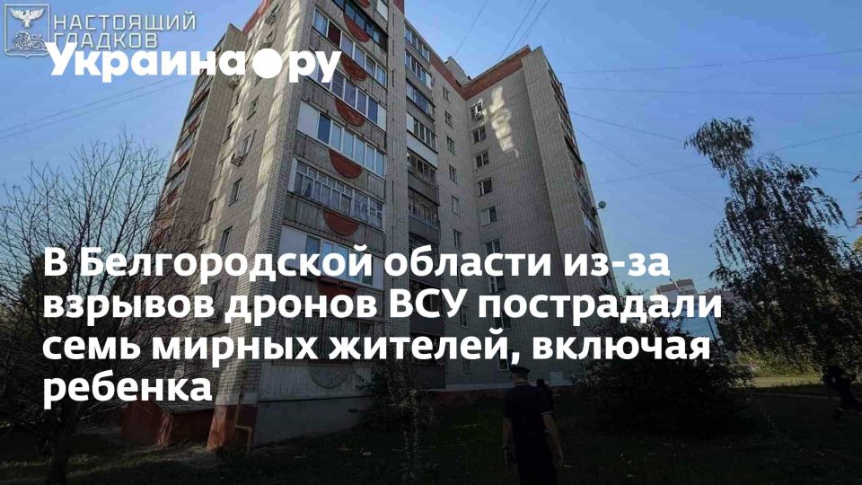 В Белгородской области из-за взрывов дронов ВСУ пострадали семь мирных жителей, включая ребенка