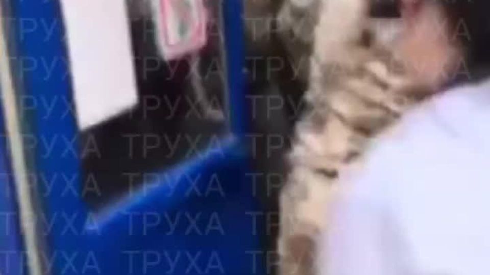 В Днепропетровске людоловы выкрали человека прямо из магазина