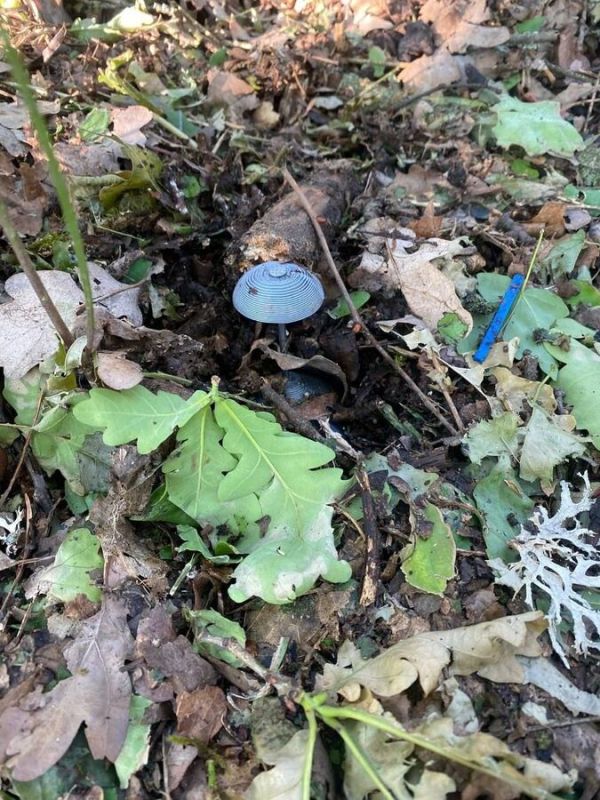 Пять мирных жителей пострадали от дистанционного минирования ВСУ