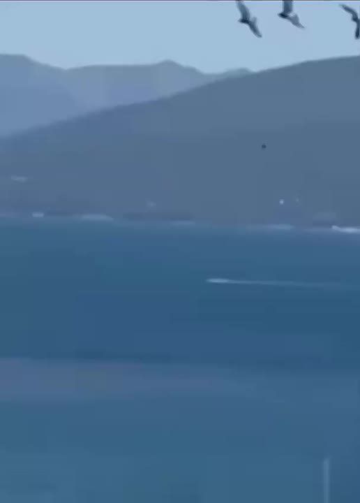 ������ ���������: � ������ �������� ����� ���������� ������������ �������