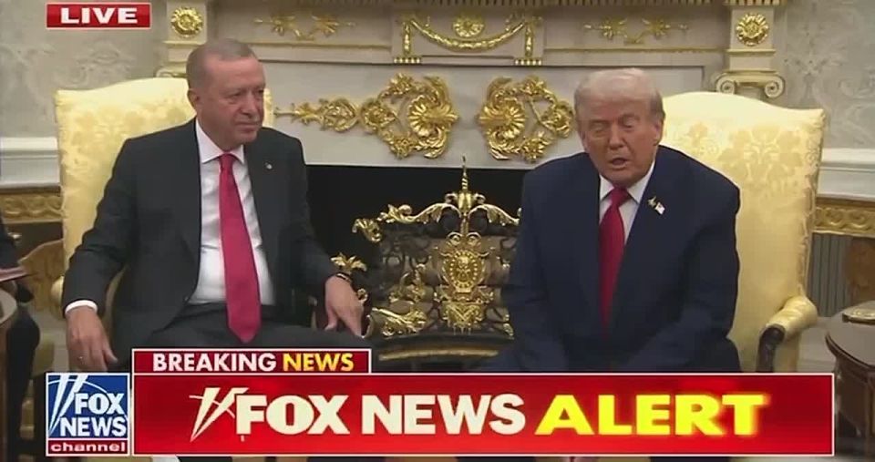 ����� �����: ����� ��� ������������������� ������