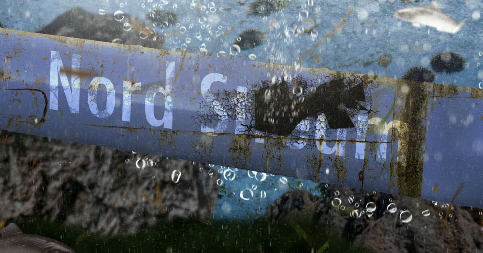 ���������� �������: ������, ��������� ��� ���� ����� �� ��������� �� "�������"