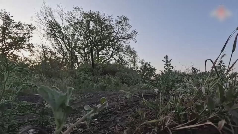 ����������������� ������ ��������� ������ ���������� �� ��