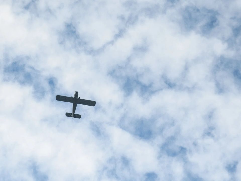 ��� �������� � ������ ������������ ������������� �������� ������� ��������