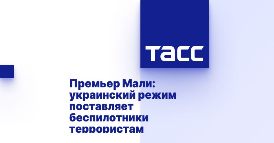 Премьер Мали: украинский режим поставляет беспилотники террористам