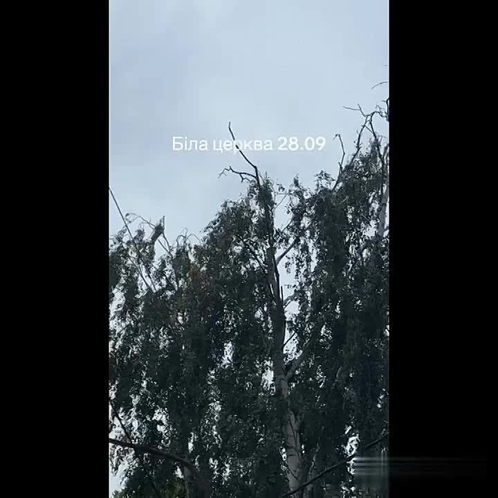 Чингис Дамбиев: Еще одно видео удара "Герани" по объекту противника в Белой Церкви сегодня утром