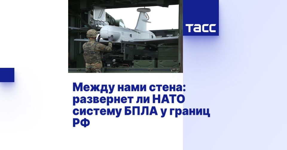 ����� ���� �����: ��������� �� ���� ������� ���� � ������ ��