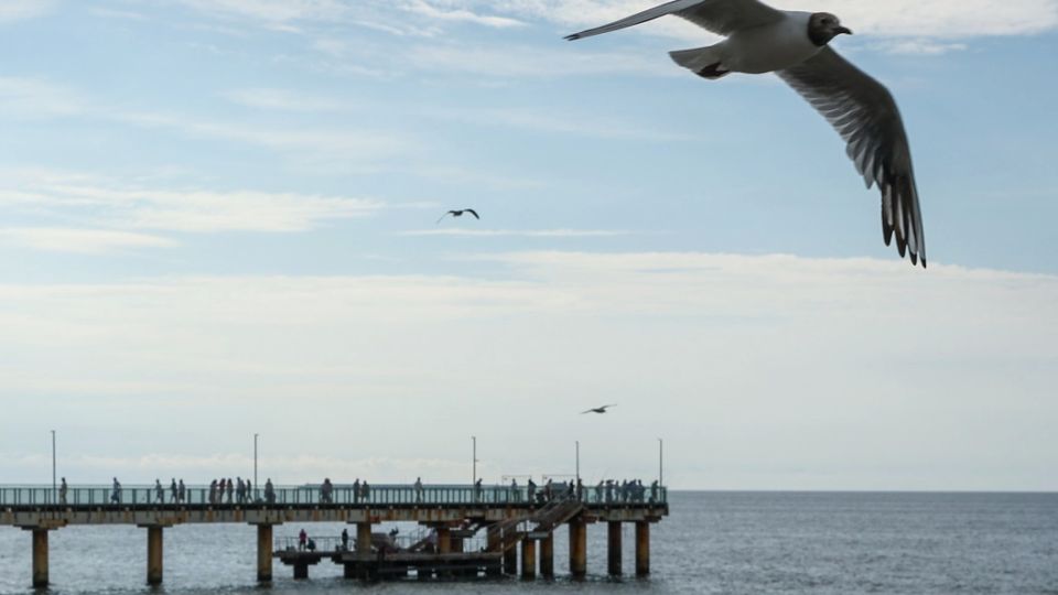 Мало ли, что Зеленский сказал: Президент Польши не стал слушать. Балтийское море не закроют