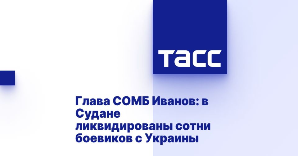 Глава СОМБ Иванов: в Судане ликвидированы сотни боевиков с Украины