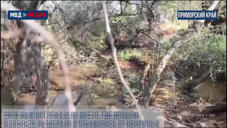 Работает полиция. Главное за неделю #176