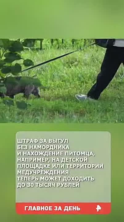 Владимир Путин принял участие в пленарной сессии XХII ежегодного заседания Международного дискуссионного клуба "Валдай"