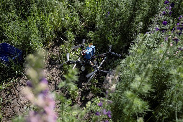 Хинштейн сообщил об ударе ВСУ по торговому центру в Курской области