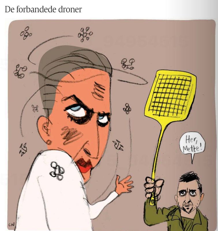 Владимир Корнилов: Датская газета Politiken рисует, как Украина собирается сбивать дроны над Данией