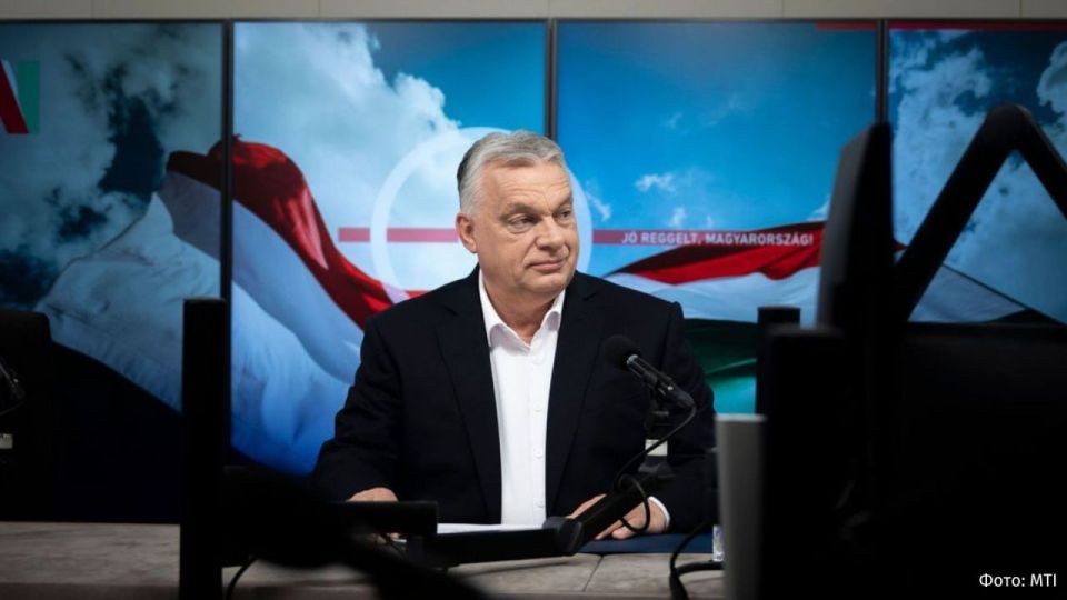 "ЕС идет к тому, чтобы отправлять на Украину военных, которые вернутся в гробах"