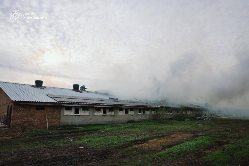 Украина решила обвинить Россию в геноциде свиней