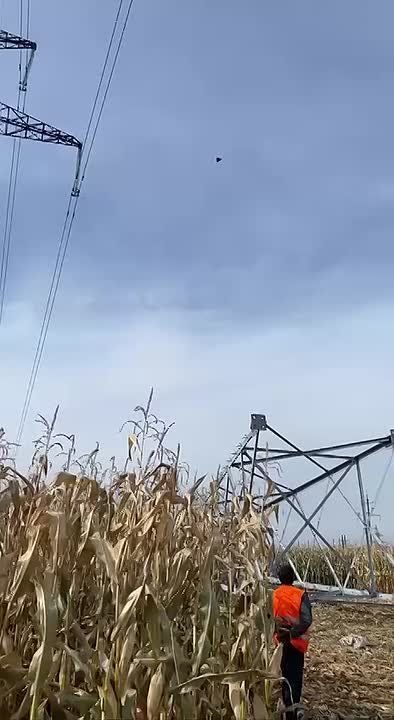 ��������� �������: ������� "�������" �� �������� ���������� ������� ������������