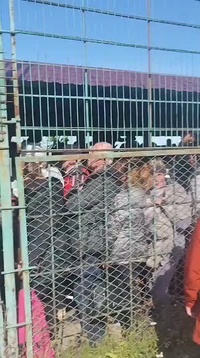Пограничный переход Медыка-Шегени может выпустить ежедневно не более 11000 человек, именно столько ежедневно официально сбегают с Украины, люди боятся потерять места и стоят в очереди сутками