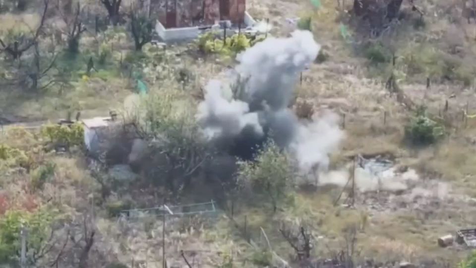 ������� ���������: ����������� ����� "�����" ���������� ������ ������ �� �������� ���� ������������ �� ���������� ����������� � ������� �������� �������