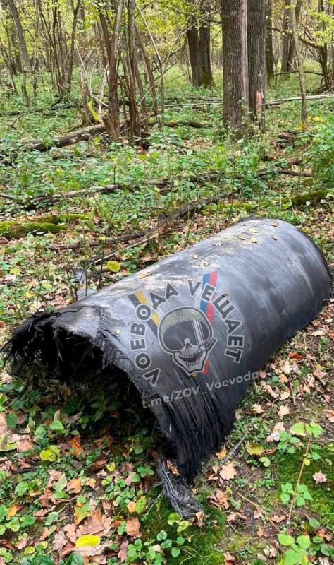 ������� �����: ���������� ������� ������� ����� ���������� ������ ��������� � ��� ������ ������������� ������ ����������� ������� ���� ������ �������� ���������� ����