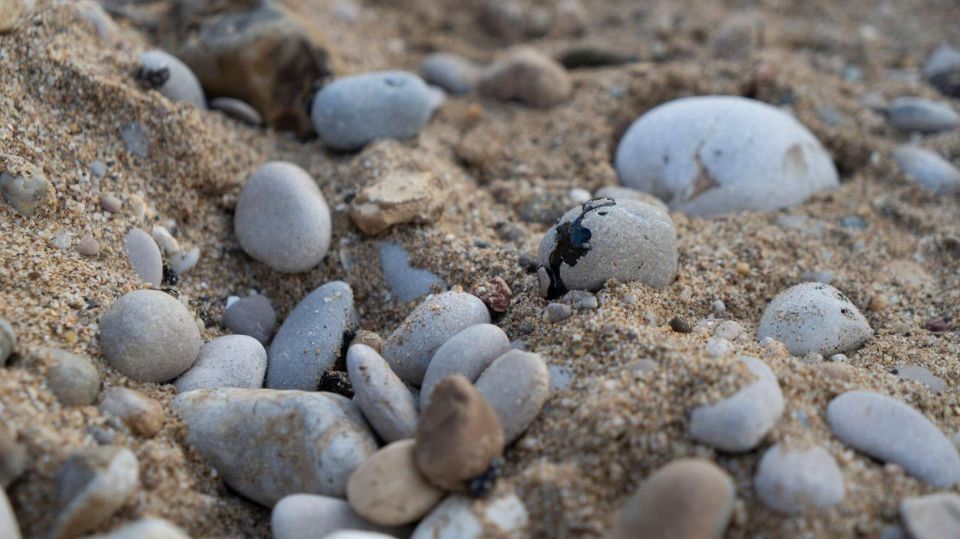 �������� ���������� � ������� � ����� �� ������ ����������� � �������