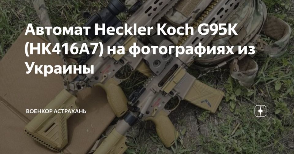  : ,   G95K  