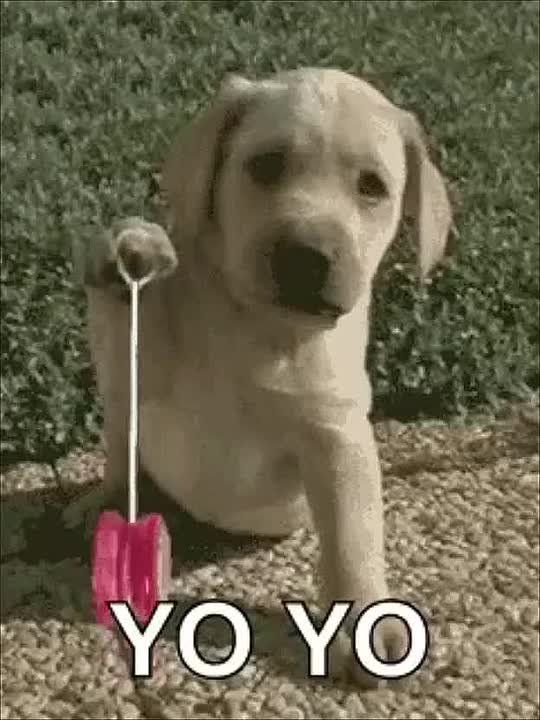 ���� ��������: ������ ������ �� ����� ����������� �����, ������� � ��������� � ���������, ����� �������� ������� ����� ������