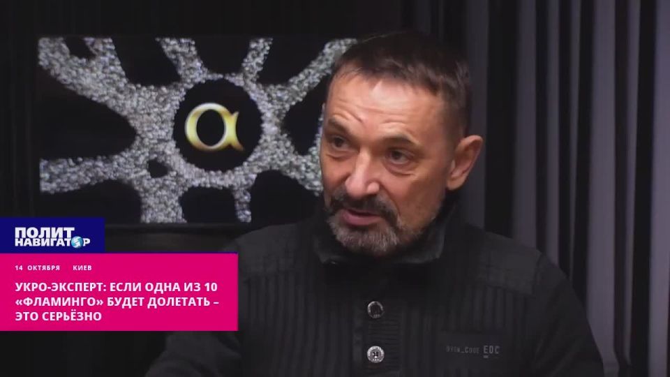 Укро-эксперт: Если одна из 10 «Фламинго» будет долетать – уже хорошо!
