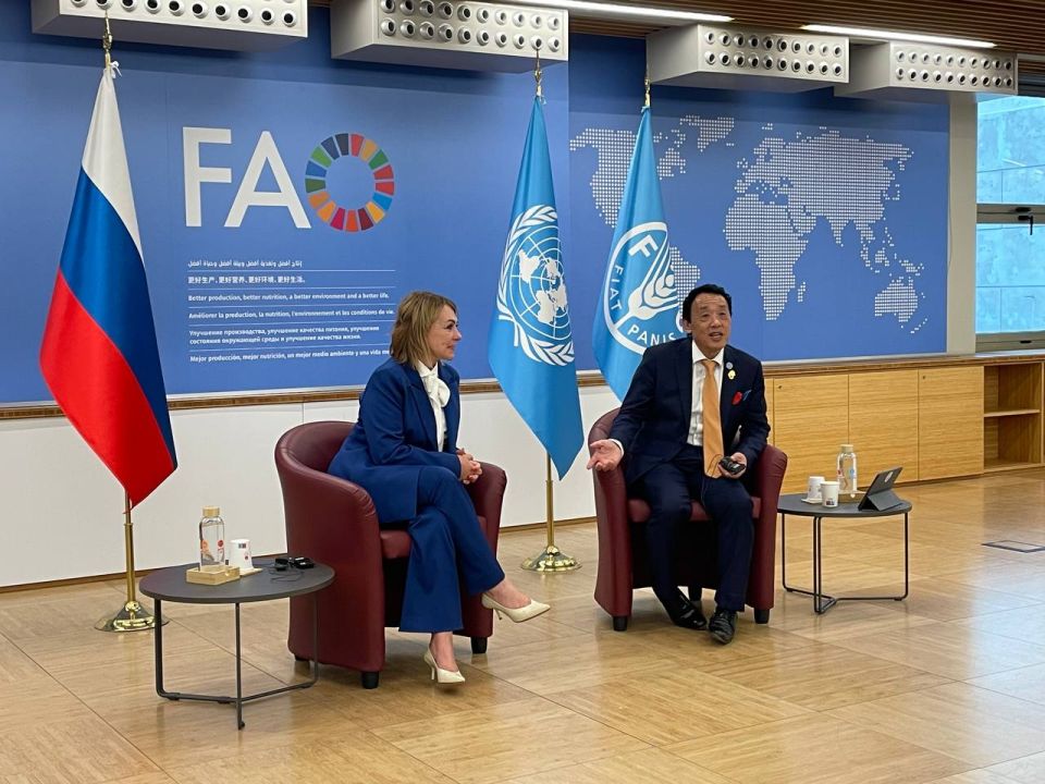  -      ()                .. ...