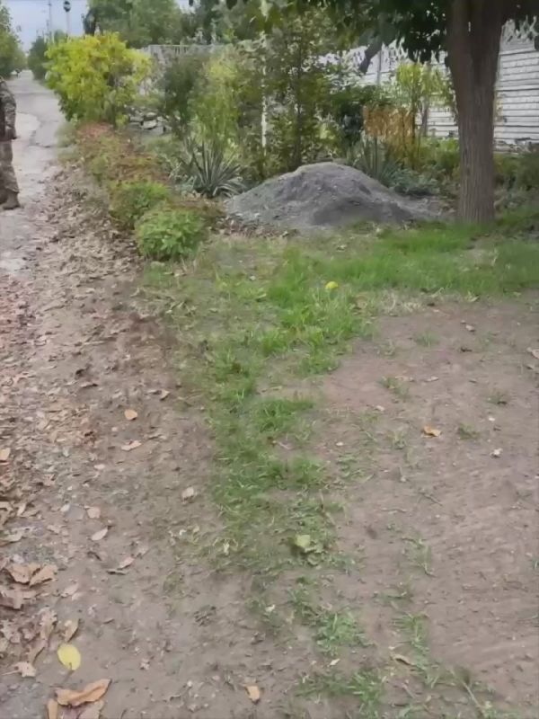 ���� ����: � ���������������� ������� �������� ������� ������ ������� �� ���-������