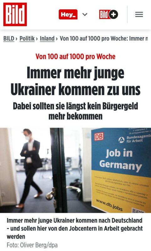 Bild: � �������� ��������� ��� ������ ������� ���������, ������� ������ �� ������ �������� ����������� �������