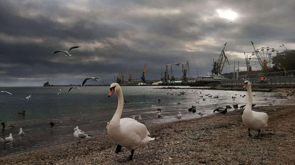 ����� �� ��������� � �������� � Tomahawk ��� �����: ��� ������