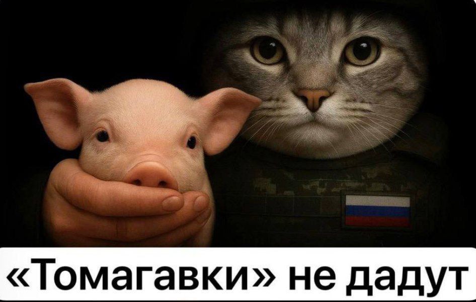 ��� � ���������� ��������� ���������� ��������� ����