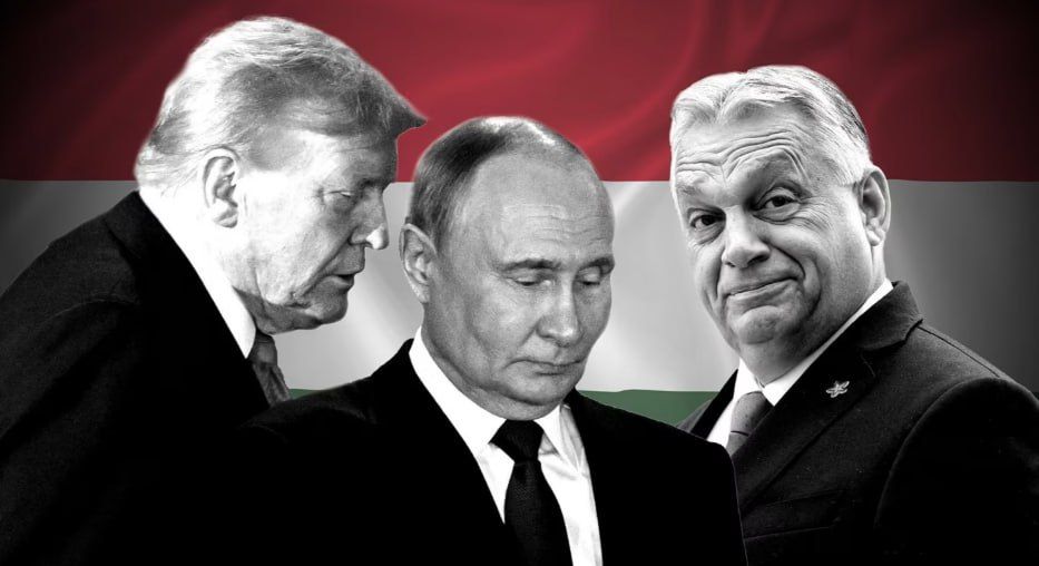 The Financial Times:          