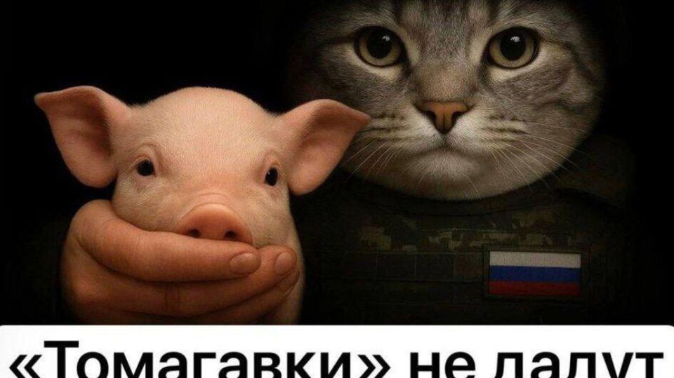 ��� � ���������� ��������� ���������� ��������� ����. ��� �� ���������� ����������� "�������.��"?