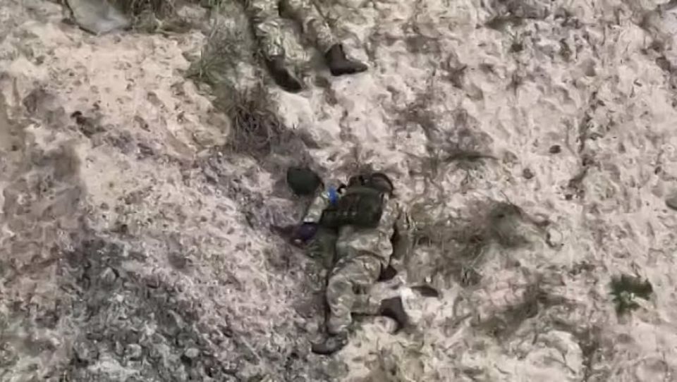 ���� ��������: � �������� �� ��������: ���������� ��� ���� ������ ��� ����