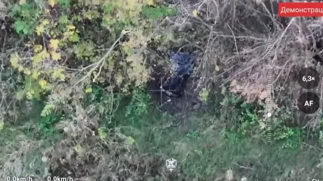 �������: ����� "������" ���������� ������ ������� ��� �� ����������� �����������
