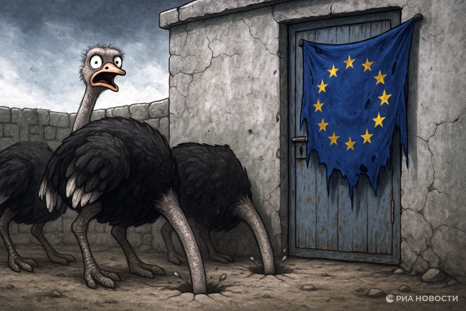 ������ ��� ��������������: ������ ����� ������� ������������ ���� �� ������