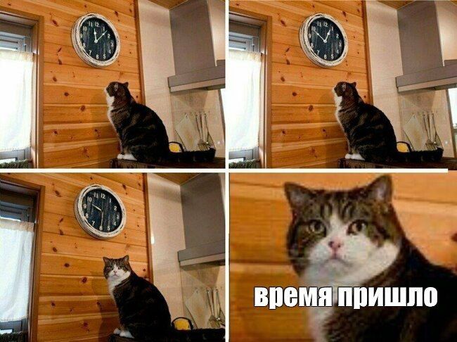 ������� ������ ������� ��������� ���� �� ������, ���� �� ���������� � ������������ ����������, ������ ��������� ����� ���